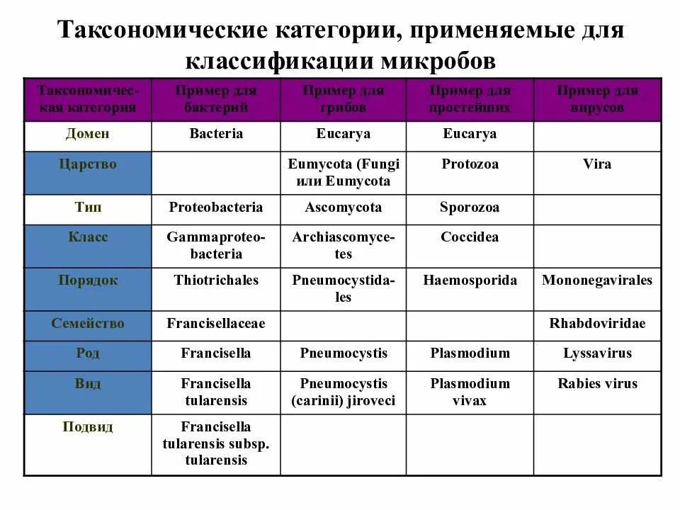 Примеры групп бактерий. Классификация микроорганизмов таксономические категории. Таксономические категории микроорганизмов схема. Классификация микроорганизмов микробиология таблица. Таксономическая классификация бактерий.