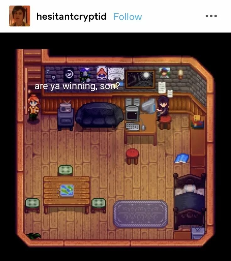 Stardew valley кинотеатр. Stardew valley игра. Stardew valley junimo. Рыба еж stardew valley. Раковина наутилуса stardew valley.