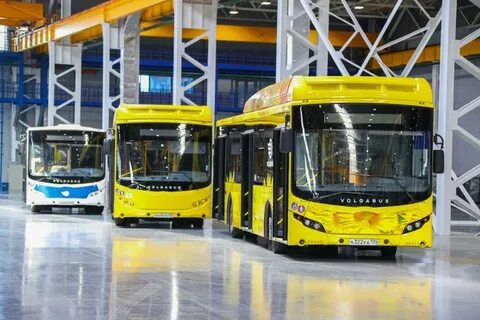 Автобусы выпускают в