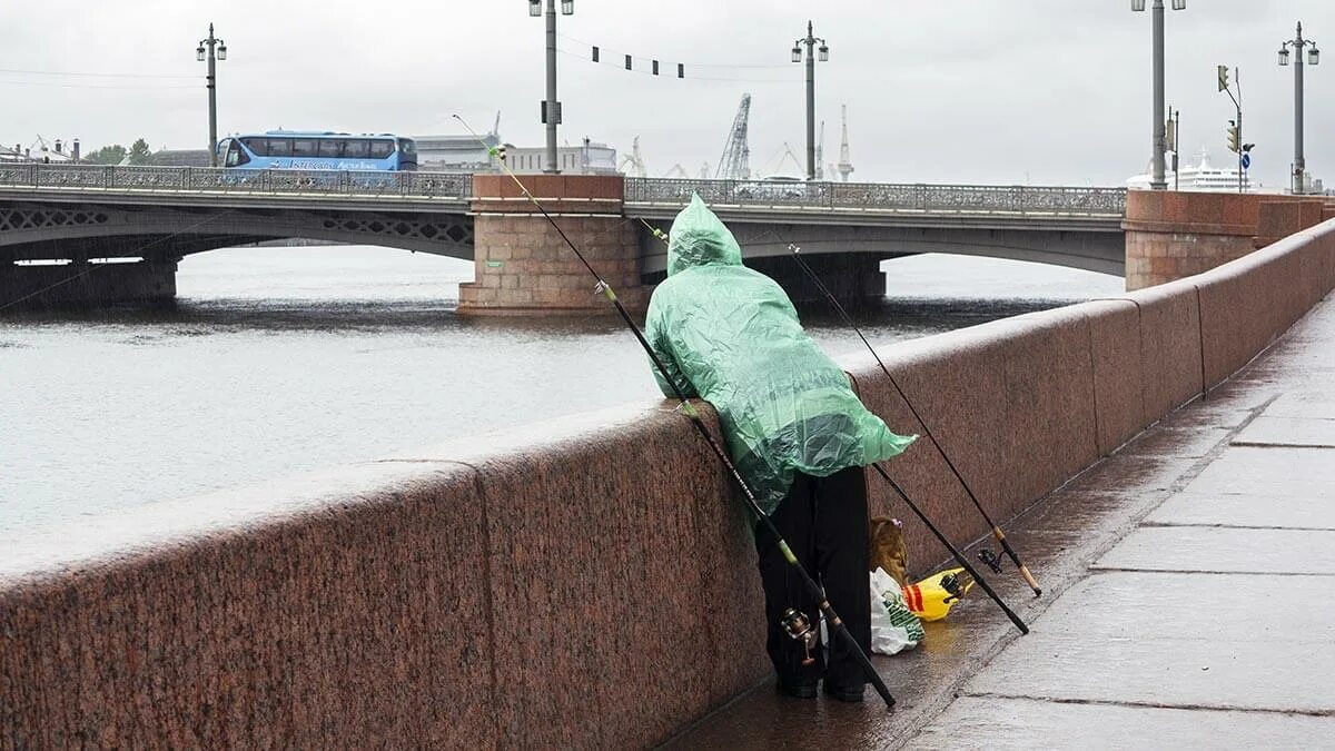 Какой сейчас ветер в петербурге. Санкт-петербург сейчас. ливень в питере. ветер в питере.