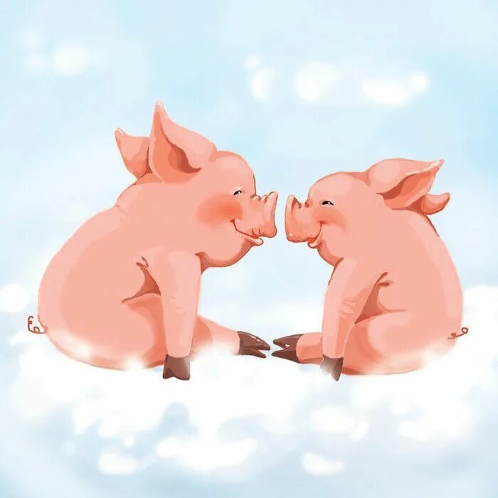 два поросенка. свиньи. маленькие свинки. поросенок. поросенок.
