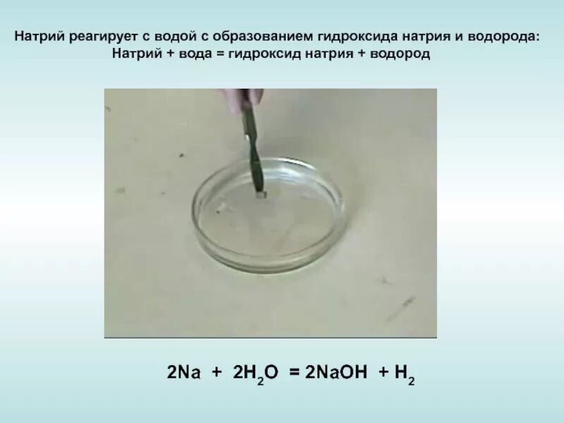 Гидроксид натрия плюс водород. Натрий и вода реакция. Реагирует ли натрий с водой. Металлический натрий с водой. Взаимодействие натрия с водой.