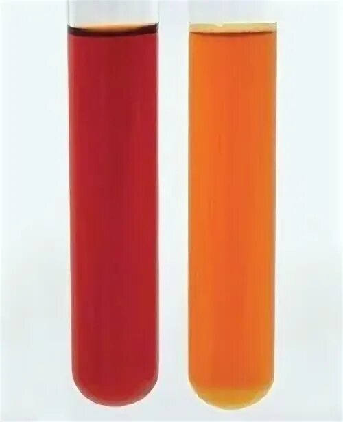 Nh3 гидролиз среда. Среда no3. Раствор какой соли имеет нейтральную реакцию среды?. Ацетатный агар 0,25 кг. Питательная среда 3 грм.