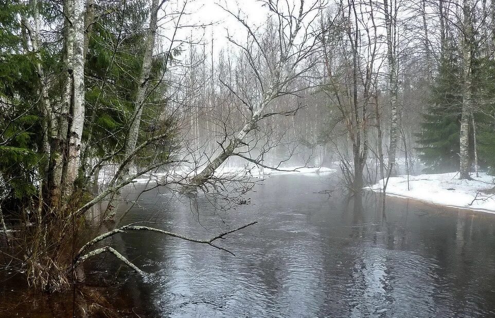 И воды зайдут низинами. Весенняя река. Весенний разлив. Весеннее половодье. Половодье в лесу.