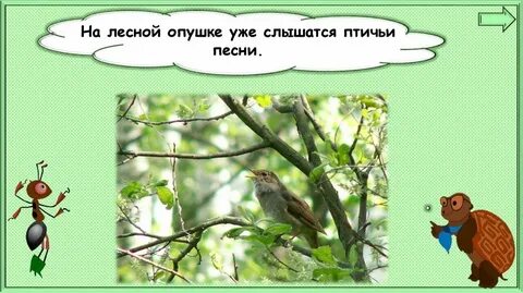 Порхает с ветки на ветку