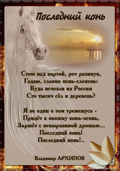 Стих про коня. Стихотворение про лошадь. Стихотворение про лошадь красивое. Стихи про лошадей красивые. Скачут кони стихотворение