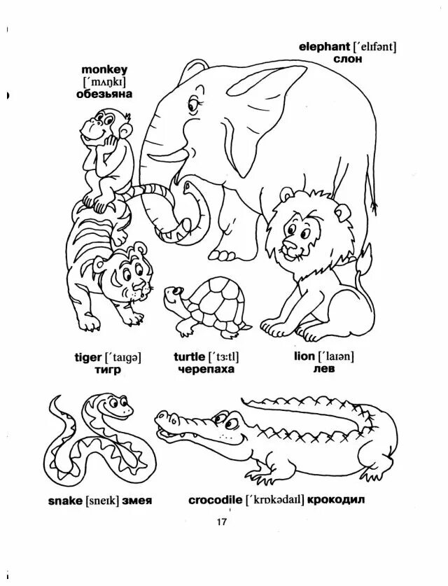 Обезьяна тигр змея. Англо-русский словарик в картинках. Словарь в картинках раскраска. Англо-русский словарь в картинках. Илюшкина англо-русский словарик.
