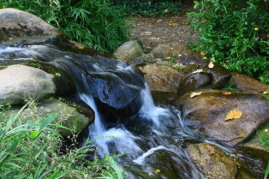 Сонник текущая вода. Родник ручей. Ручеек течет. Текущий ручей. Ручеек между камней.