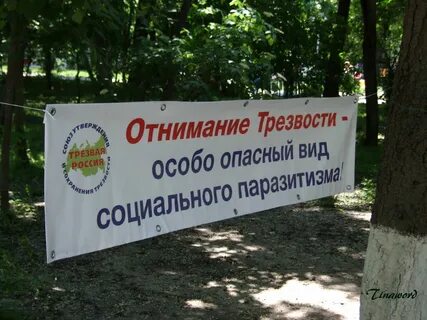 Трезвости аудио