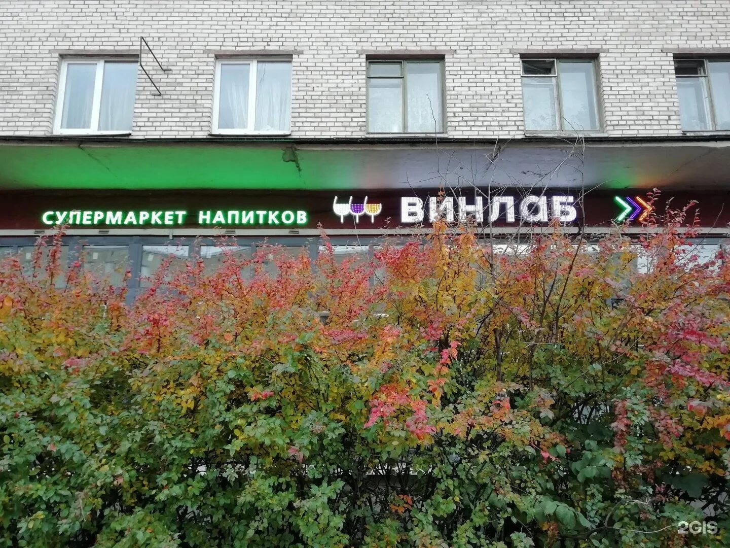 проспект металлистов 100 санкт-петербург. пр. винлаб колпино. винлаб дмитровское шоссе 107. винлаб санкт-петербург.