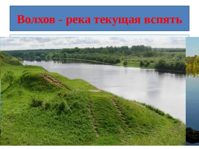 Течение реки волхов. Река волхов новгород. Течение реки волхов. Озеро ильмень и река волхов. Устье реки волхов великий новгород.