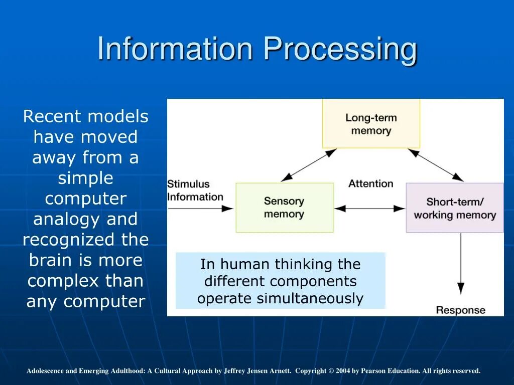 Memory processes. Information processing. information processes. information and information processes. what is the long term memory.