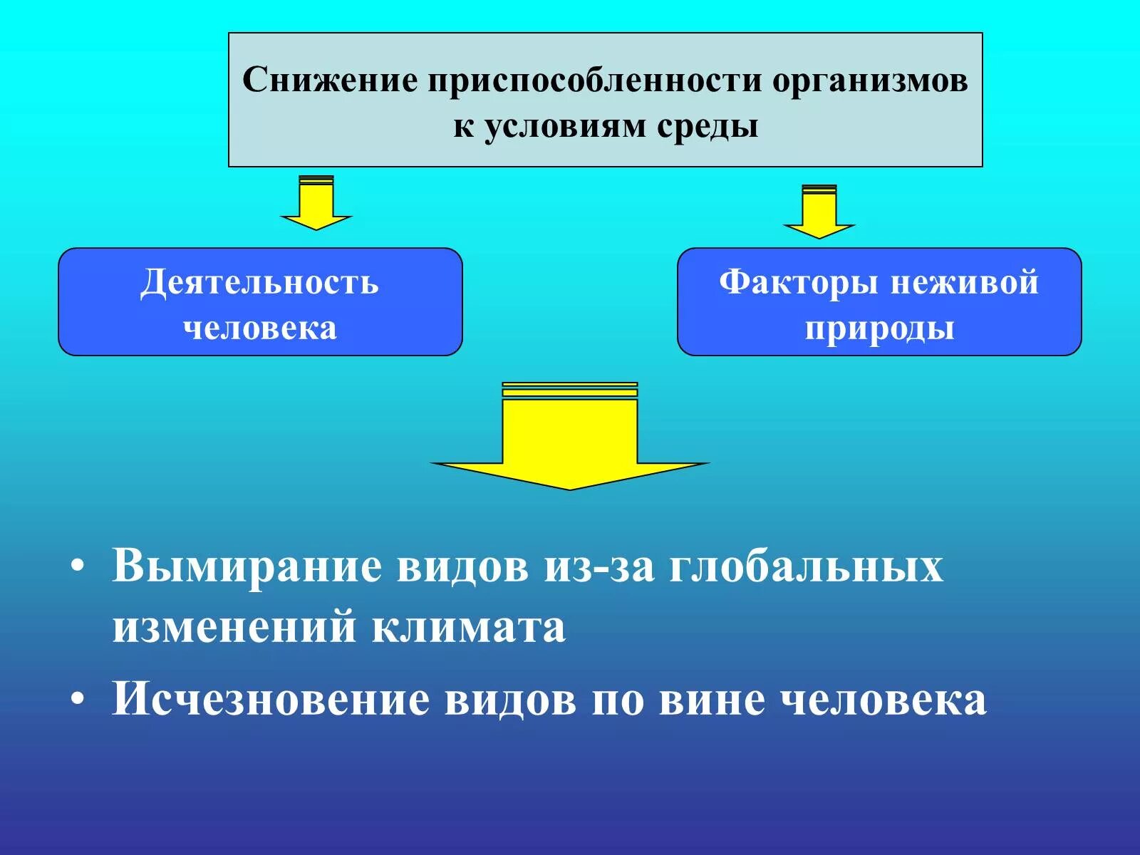 Факторы неживой природы Прогресс или регресс. Факторы деятельности человека. Влияние деятельности человека на биологический регресс. Вымирание из-за глобальных изменений климата. Факторы глобальных изменений