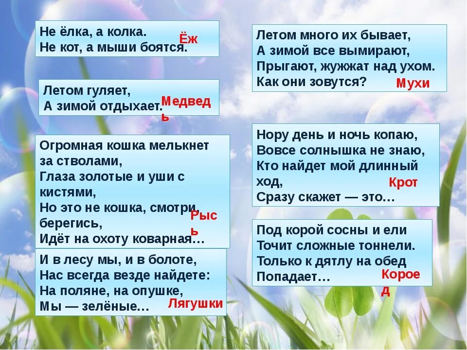 Загадки природы. Экологические загадки. Загадки о природе для детей. Экологические загадки для дошкольников. Загадки про природные