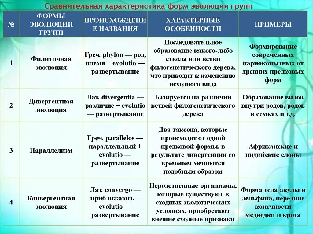 Какие направления органической эволюции привели к формированию. Таблица типы эволюционных измен. Формы эволюции. Формы эволюции примеры. Формы эволюционного развития.