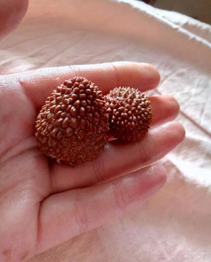 Китайские личи. Как почистить личи. Личи фрукт как правильно очистить. Личи очищенные. Шриланский личи.