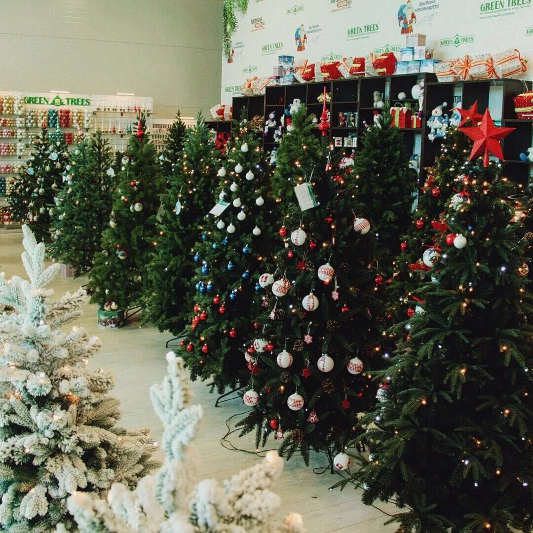 элитные ели новосибирск фабричная