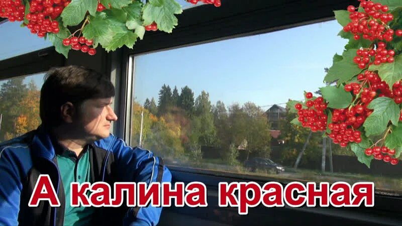 Калина красная опять песня горькая мне выпала. Калина красная опять песня горькая мне выпала. Калина красная калина горькая. Горькая калина. Калина красная опять песня горькая мне выпала.