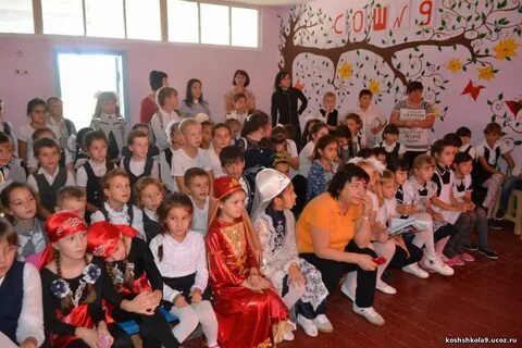 Вольное кошехабльский