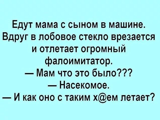 Маму в машине сын рассказ. Анекдоты про половые. Анекдоты про половые органы. Фалоимитатор в лобовое стекло анекдот.