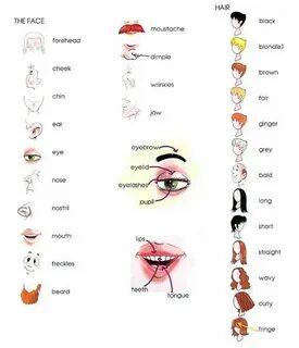Переведи слово face