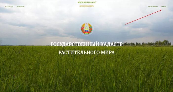 государственный кадастр объектов животного мира. государственные кадастры природных ресурсов и объектов. кадастр животного мира картинки. государственный учет животных. ) государственный учет объектов животного мира.