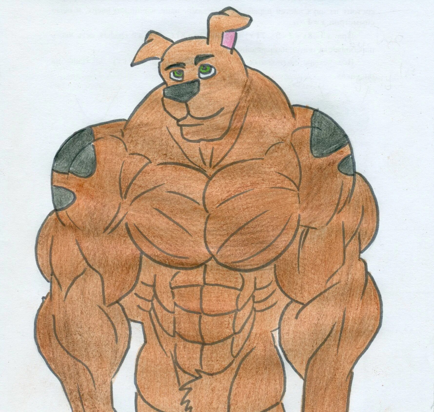 Мышь качок. Скуби-Ду muscle growth. Scooby Doo muscle growth. Muscle growth Брендон. Медведь качок.