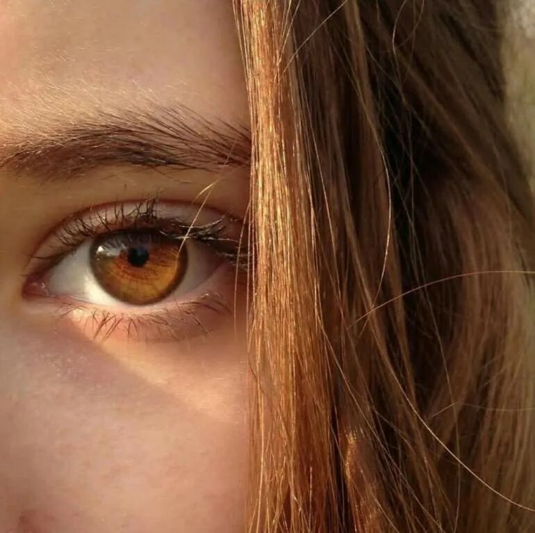 Светло карие глаза. Янтарные глаза. Светло коричневые глаза. Коричневый цвет глаз.