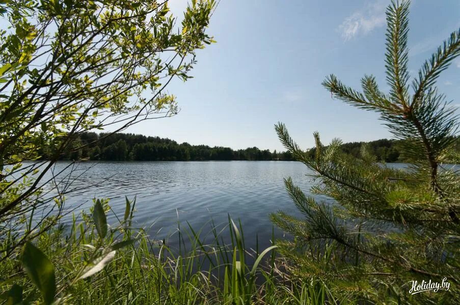 Сорочинское водохранилище оренбургской. Сорочинское водохранилище. Сорочинское водохранилище Оренбургской области. Краснооскольское водохранилище. Краснооскольское водохранилище лес.