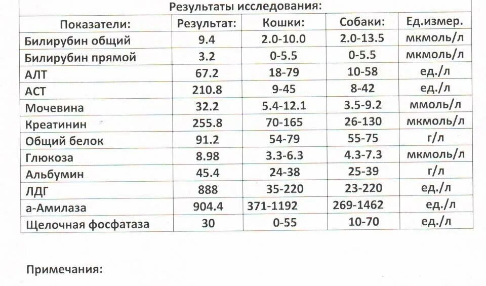 Аст печени повышена. Показатели в норме алт АСТ билирубин. Норма алт АСТ общего билирубина. Биохимический анализ крови билирубин АСТ алт. Норма АСТ И алт билирубина в крови у женщин.