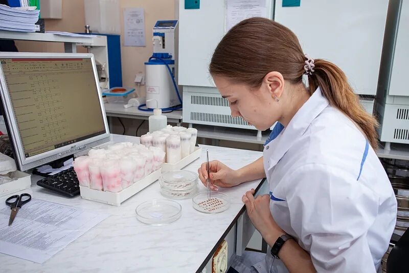 Ростовский референтный центр россельхознадзора. Свердловский референтный центр россельхознадзора сайт. Забайкальский референтный центр россельхознадзора чита. Референтный центр россельхознадзора ростов на дону шолохова. Референтный центр россельхознадзора омск.