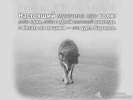Как волк у мужика жил