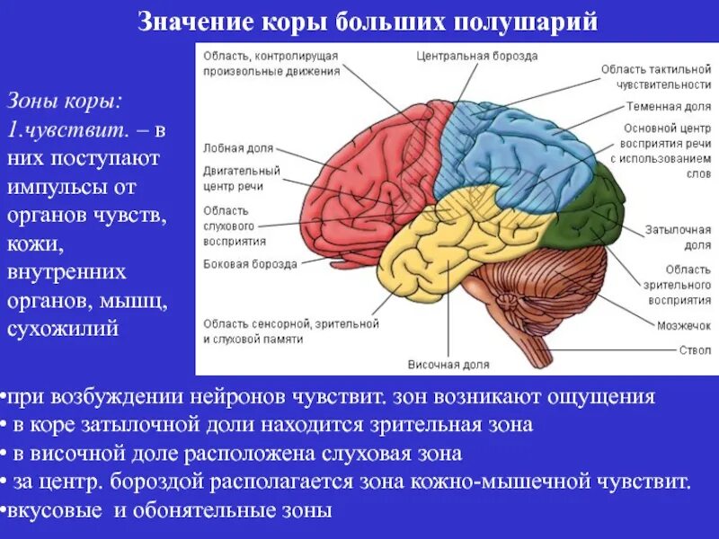 Где располагается центр