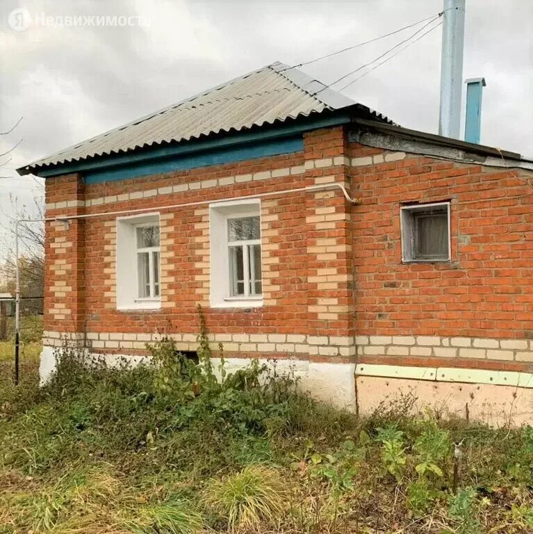 Дом в путятине рязанской. Рязань село строевское. Дом в путятине рязанской. Деревня отрада тамбовская область. Дом в путятине рязанской.