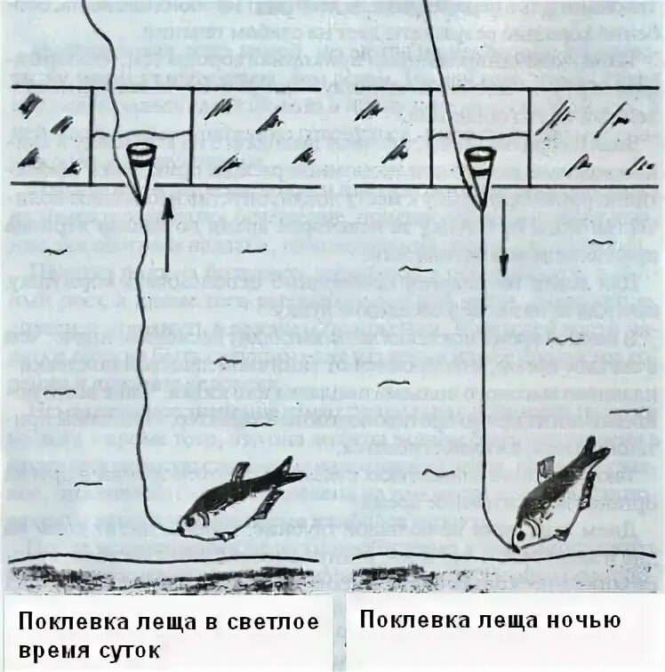 Где леща зимой. Схемы оснастки для ловли леща зимой. Зимняя снасть на леща коромысло. Зимняя снасть на леща. Зимняя оснастка на леща.