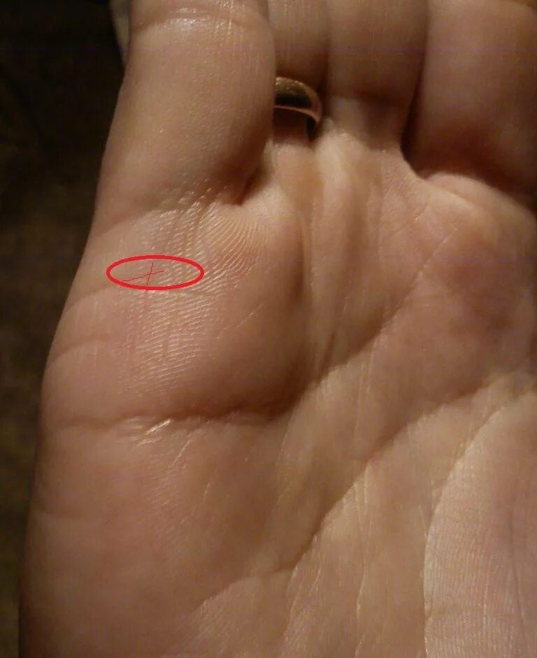 линии детей на ладони. хиромантия линия детей. хиромантия где дети. линия детей на руке. хиромантия где дети.