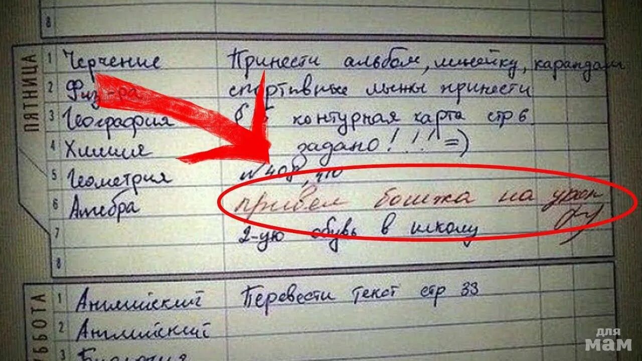 Написать ученик какой должен написать. Смешные записи в дневниках. Смешные замечания в школьных дневниках. Смешные замечания в дневнике. Самые смешные замечания в дневнике.