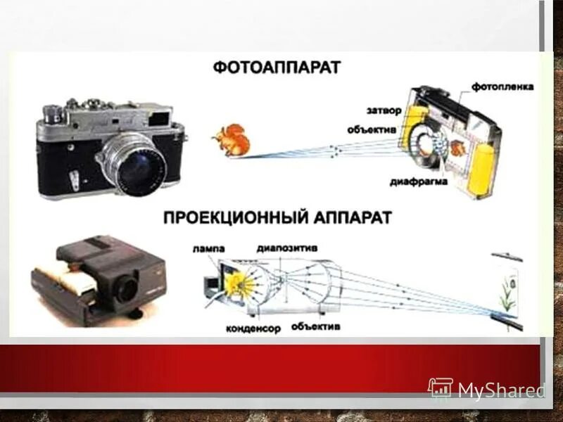 Оптические приборы в которых используются линзы