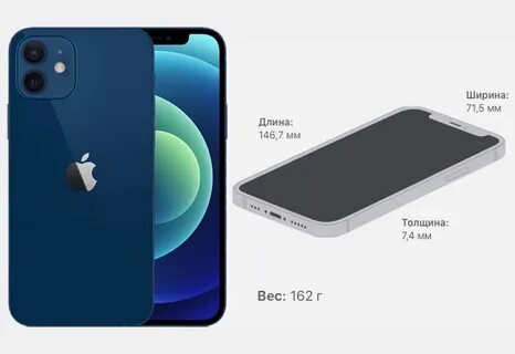 Айфон xr айфон 12 сравнить