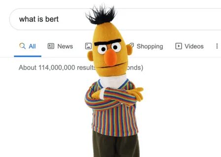T bert