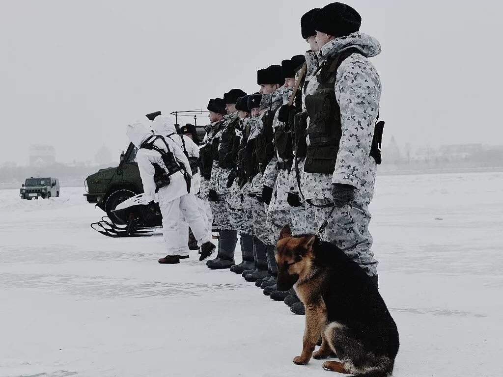 Пограничники россии. Пограничник зима. Зимняя форма пограничников. Пограничные заставы россии. Собака в засаде.