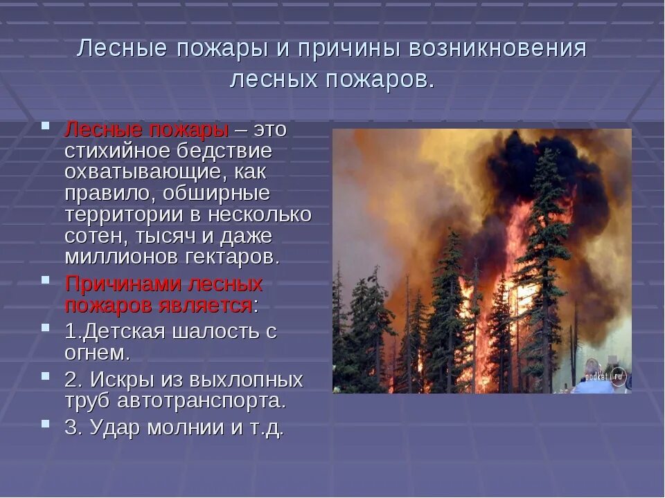 Верховой пожар наиболее опасен ответы. Причины природных пожаров. Причины лесных пожаров. Причины появления лесных пожаров. Причины возникновения лесных пожаров.