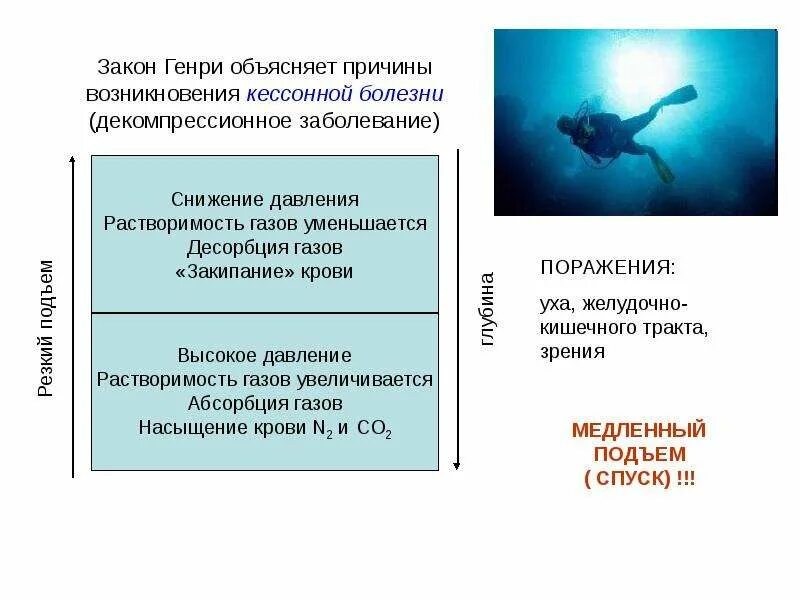 Замедление дыхания при погружении в холодную воду. Кессонная болезнь причины. Причины кисоноц болезни. Факторы кессонной болезни. Профилактика кессонной болезни.