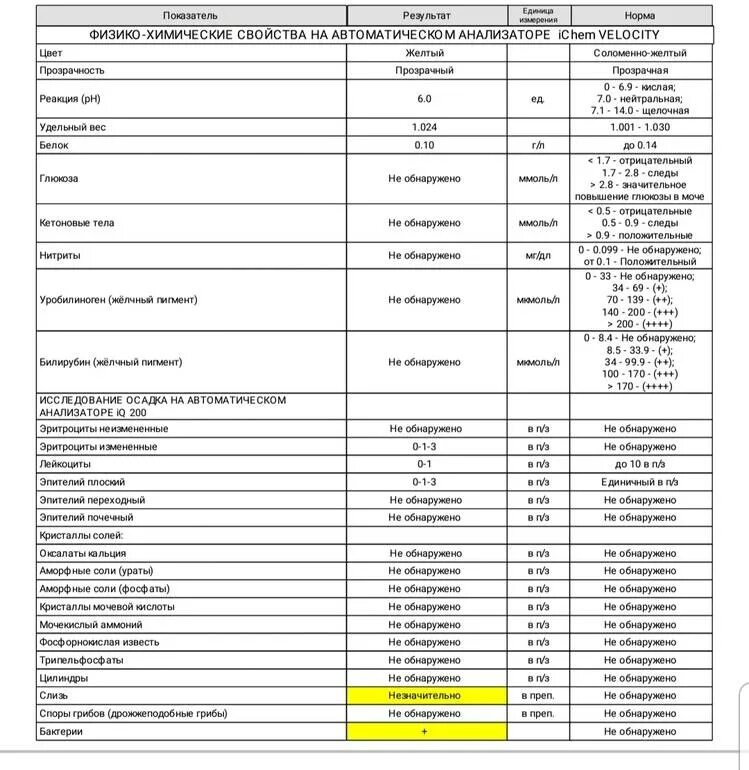 Бактерии в анализе мочи показатель +++. Бактерии в моче ОАМ норма. Анализ мочи расшифровка у женщин бактерии норма. Анализ мочи расшифровка бактерии в моче. Что значит слизь в анализе мочи