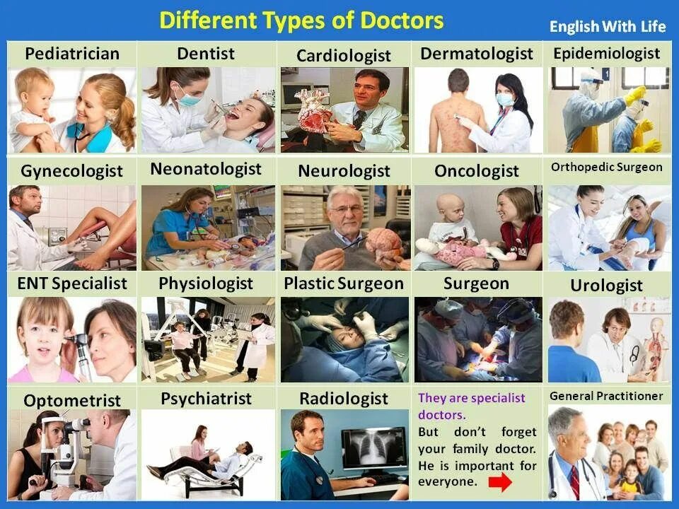 Types of Doctors in English. Названия врачей на английском. Врачи на английском языке с переводом. Доктор на английском.