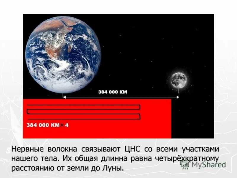 Сколько идти до луны. Сколько идти пешком до луны. Высота до луны. Расстояние луны от земли. Сколько идти пешком до луны.
