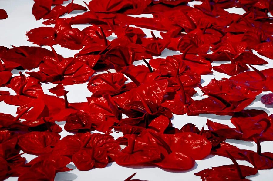 Ярко красный цвет крови является признаком. Лепестки красных роз. Кроваво красные розы. Кровавые цветы Эстетика.