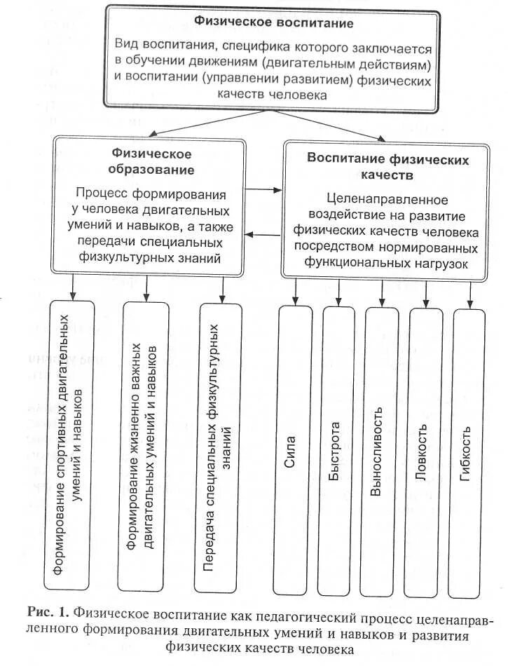 Направленность метода воспитания. Схема принципов физического воспитания. Холодов методы физического воспитания схема. Физическое воспитание блок схема. Система принципов физического воспитания схема.