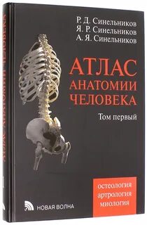 Синельников атлас анатомии человека 3