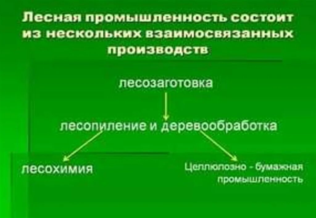 Стадии Лесной промышленности. Отрасли Лесной промышленности. Отрасли производства Лесной промышленности. Лесная промышленность состоит из. Фактор производства бумаги